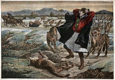 Lobos en Transilvania de Unknown